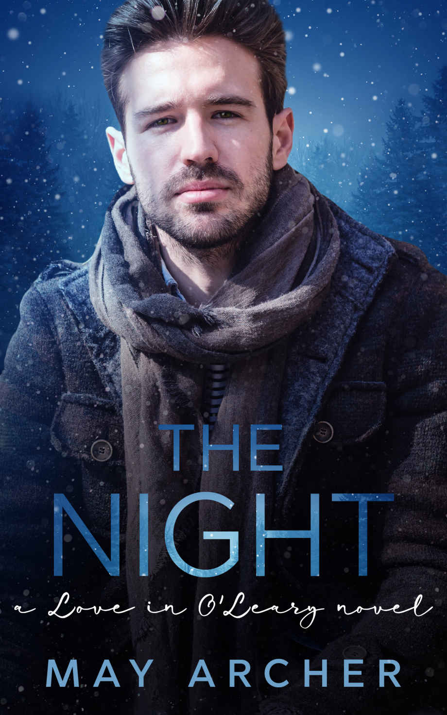 The Night: Love in O'Leary - Paperback