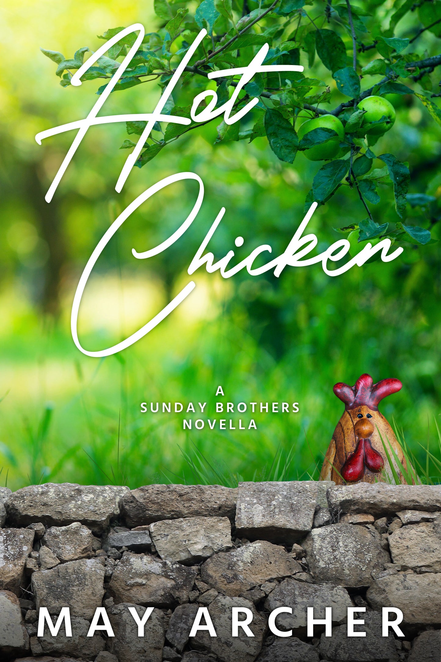 Hot Chicken (Sunday Brothers)- Paperback